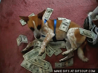 dog-rolling-in-money-o