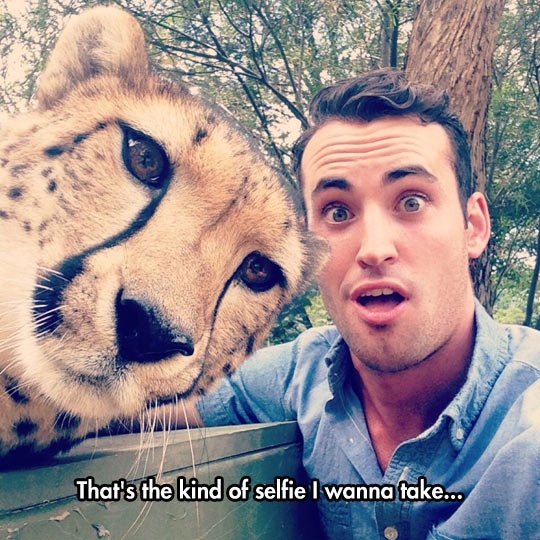 funny-guy-tiger-surprised-selfie