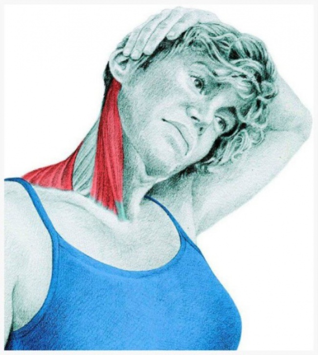 Lateral side flexion of the neck with hand assistance