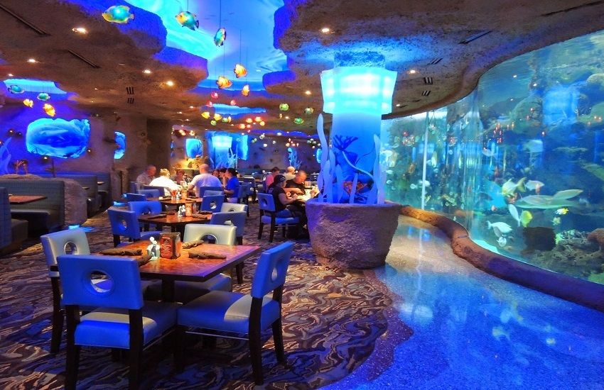 Underwater Restaurants 